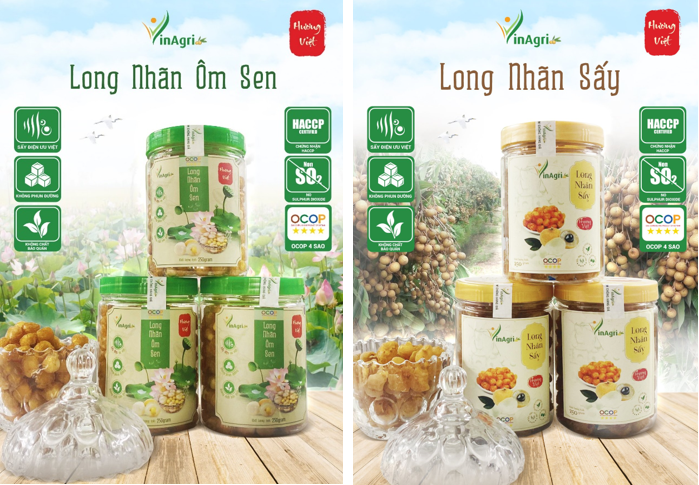 CÔNG TY TNHH VINAGRI VIỆT NAM – LÀN GIÓ MỚI CHO CHẾ BIẾN NÔNG NGHIỆP HƯNG YÊN