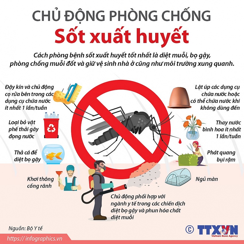 Tháng 6 và 7/2025: Tổ chức chiến dịch cao điểm phòng bệnh sốt xuất huyết, COVID-19…