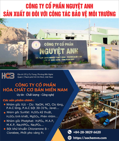 CÔNG TY CỔ PHẦN NGUYỆT ANH & CÔNG TY CỔ PHẦN HOÁ CHẤT CƠ BẢN MIỀN NAM