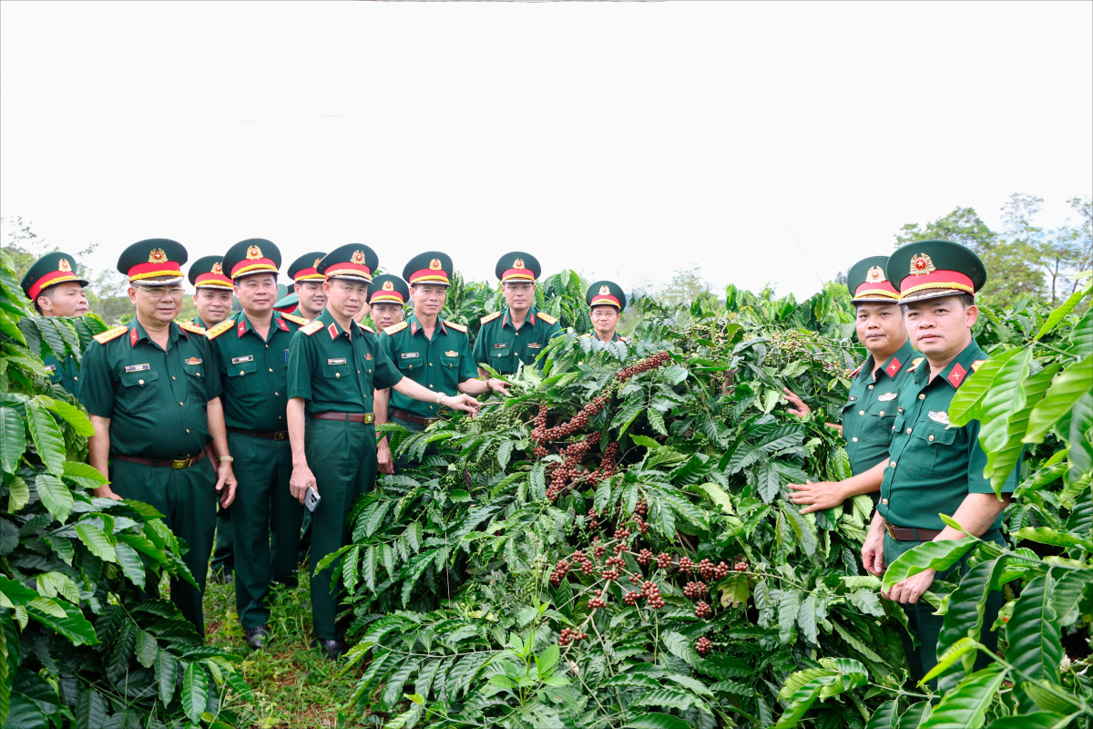 Binh đoàn 16: Gắn phát triển kinh tế với giữ vững phên dậu Tổ quốc
