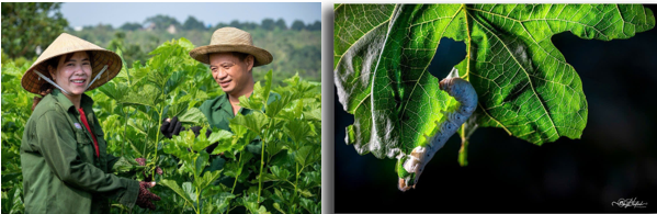 VĂN PHÒNG HĐND & UBND PHƯỜNG 2 BẢO LỘC